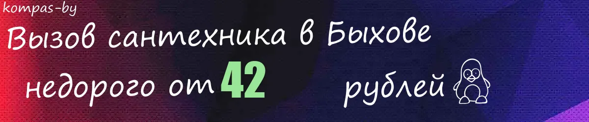 Сантехник в Быхове